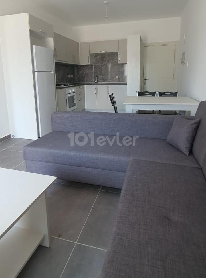 Rent 2+1 apt Lefkosa