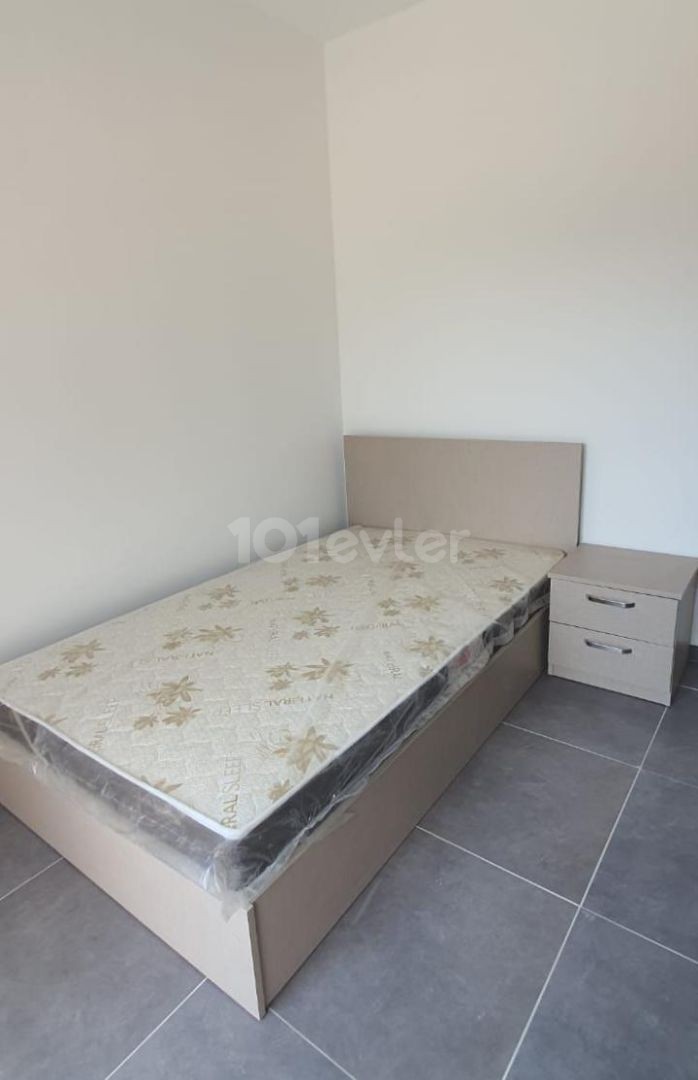 Rent 2+1 apt Lefkosa