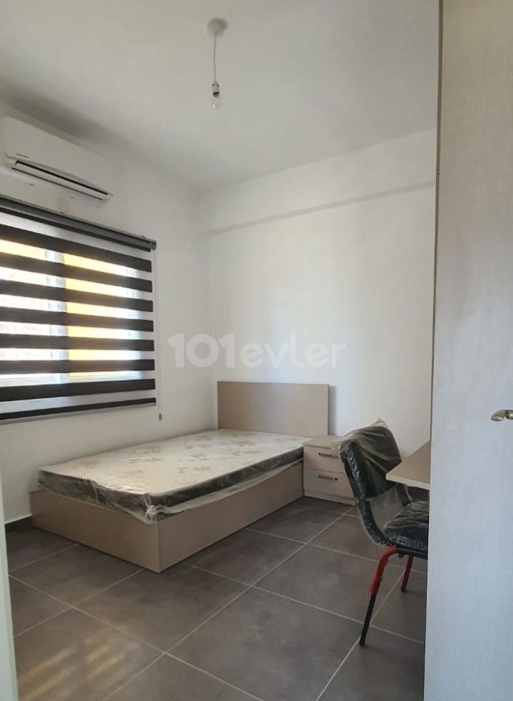 Rent 2+1 apt Lefkosa