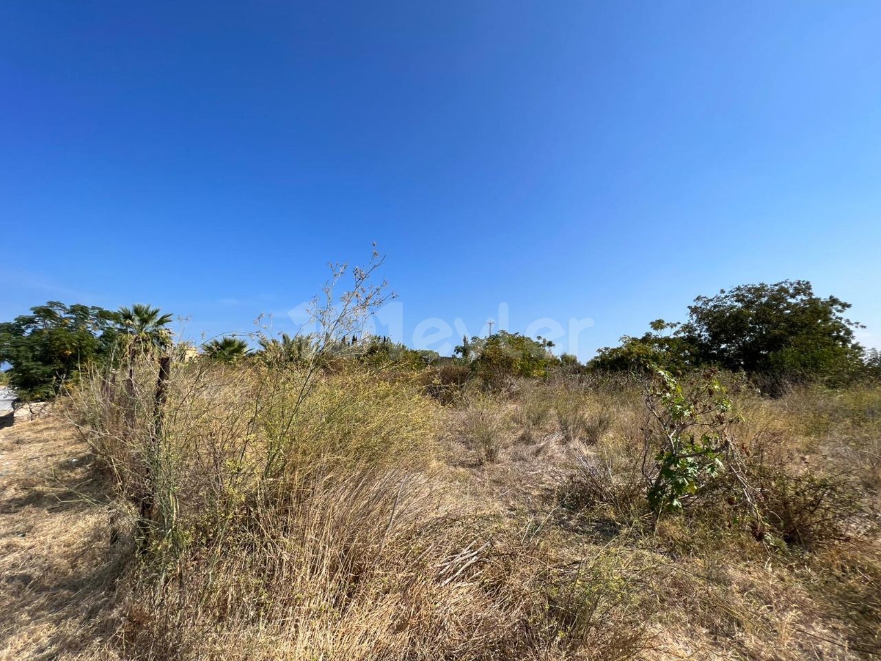 LAND FOR SALE IN LAPTA ** 