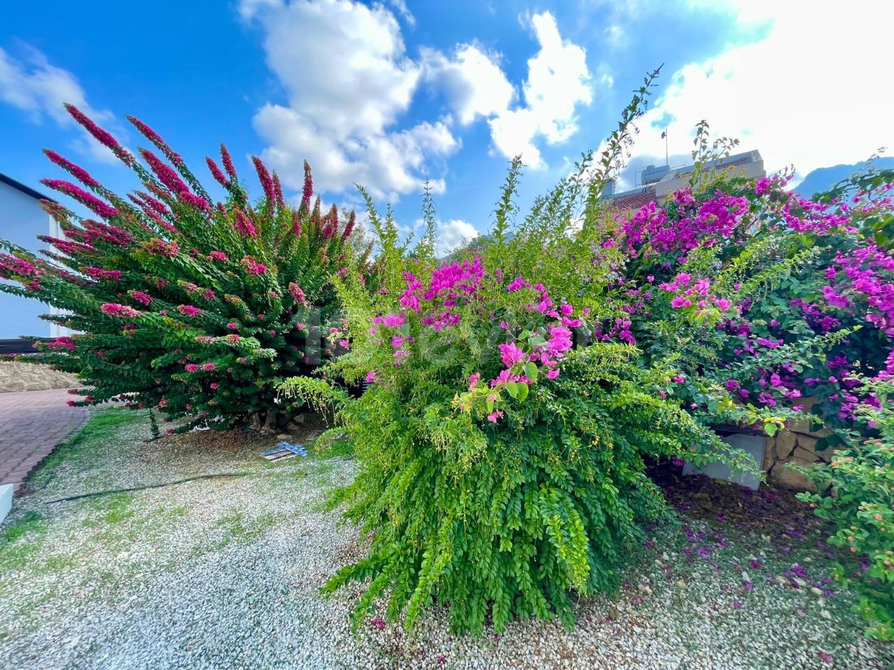 Villa Kaufen in Edremit, Kyrenia