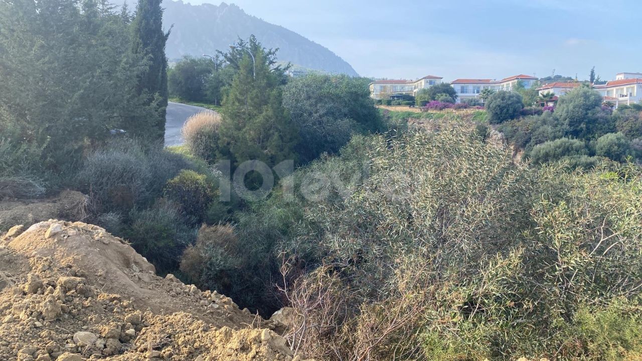 LAND FOR SALE IN EDREMİT