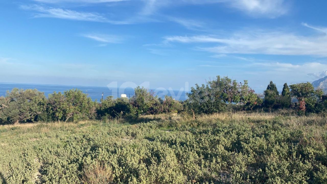 GRUNDSTÜCK ZUM VERKAUF IN DER REGION KYRENIA KAYALAR