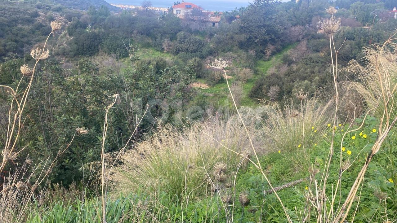 LAND FOR SALE IN ALSANCAK YESILTEPE