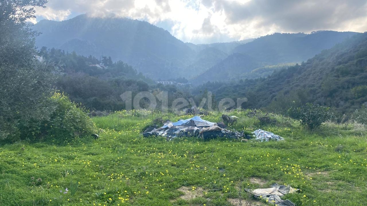 LAND FOR SALE IN ALSANCAK YESILTEPE