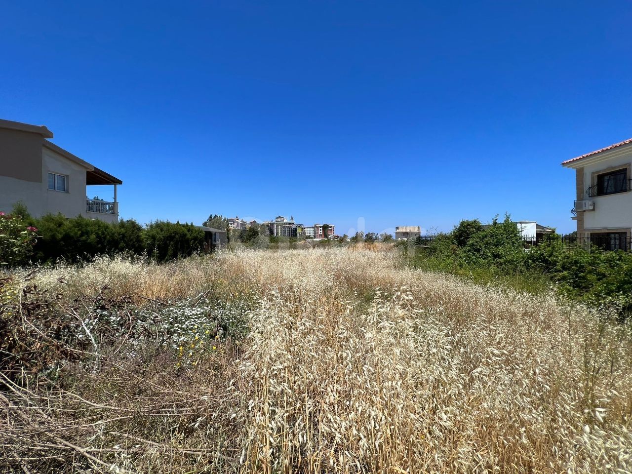 LAND ZU VERKAUFEN IN ALSANCAK, GUINEA