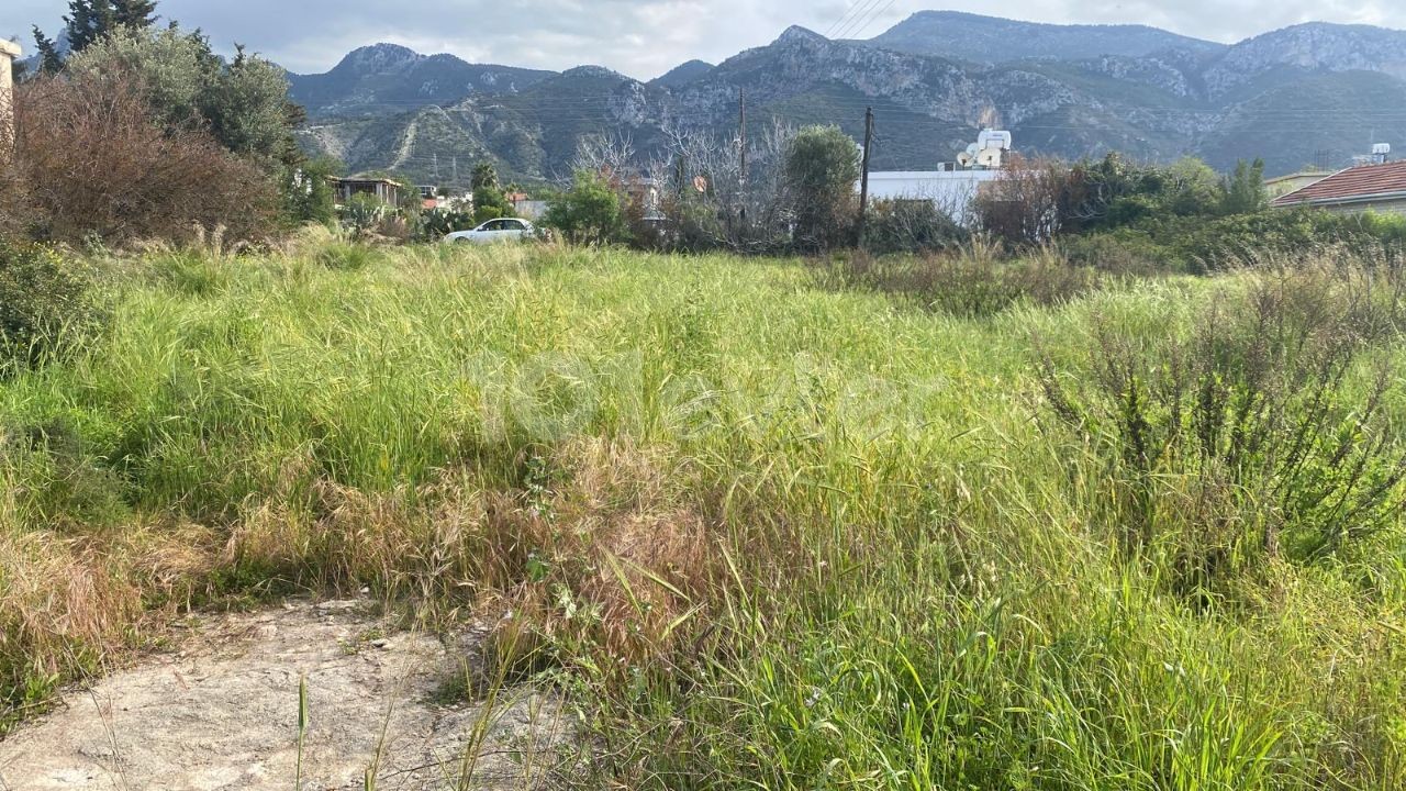 LAND FOR SALE IN GİRNE ÇATALKÖY