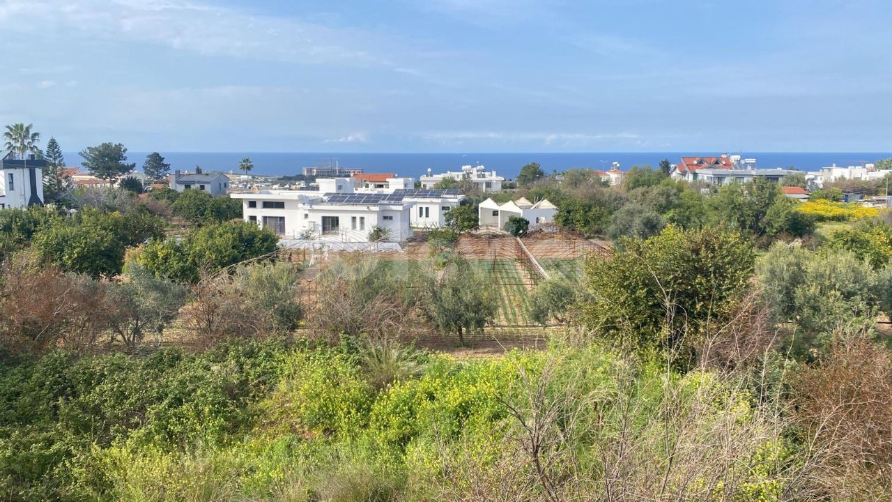 LAND ZU VERKAUFEN IN GİRNE ÇATALKÖY