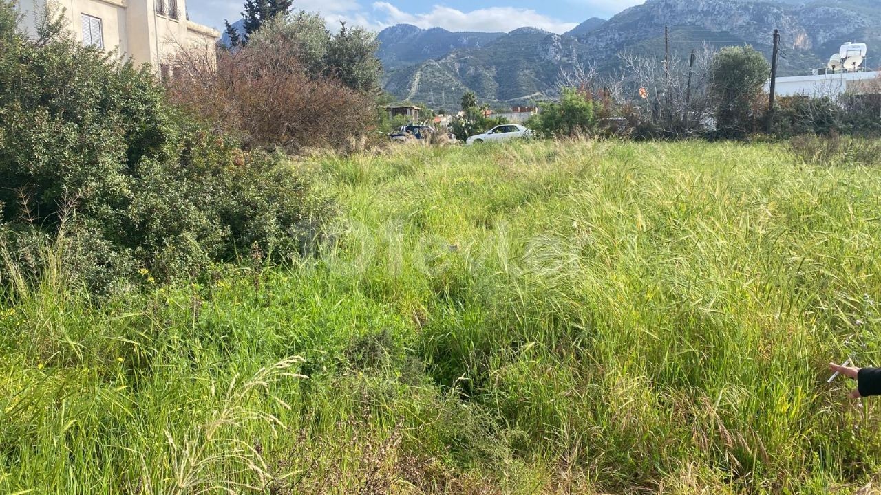 LAND FOR SALE IN GİRNE ÇATALKÖY