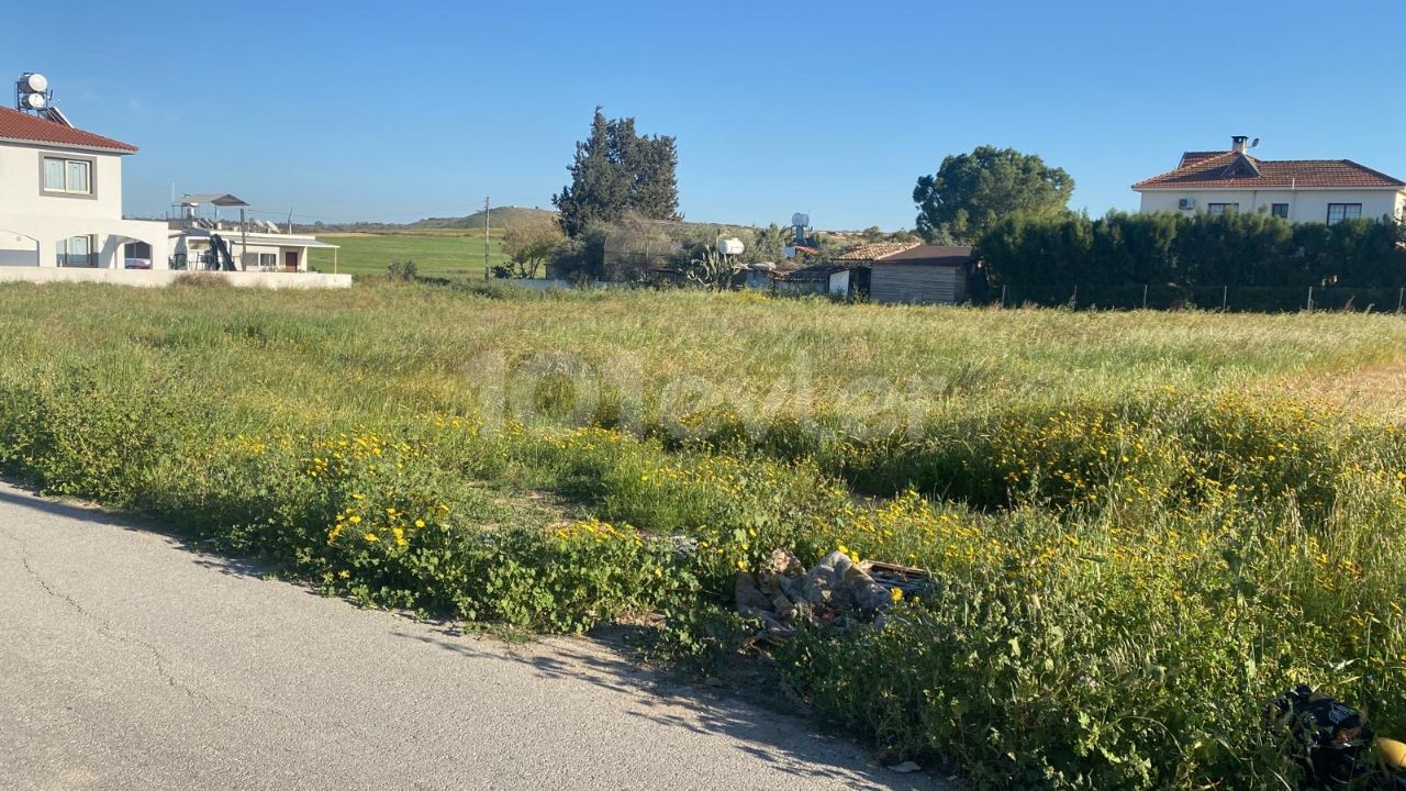 GRUNDSTÜCKE IN LEFKOŞA ZU VERKAUFEN