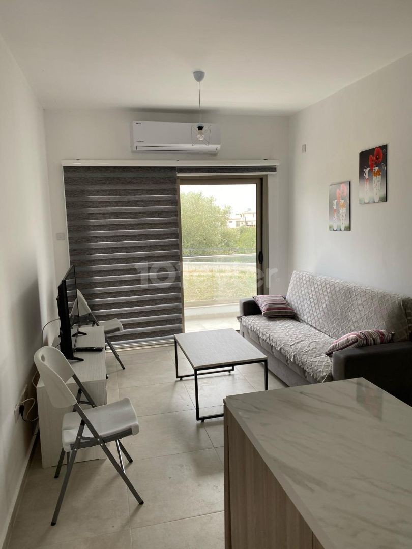 Rent 1+1 in zeytinlik 