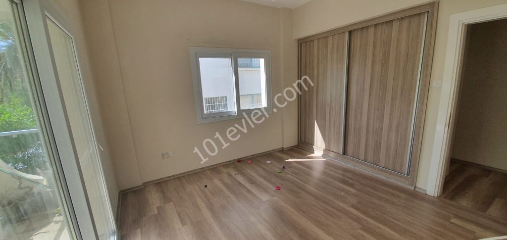 Rental offıce , salamis road 