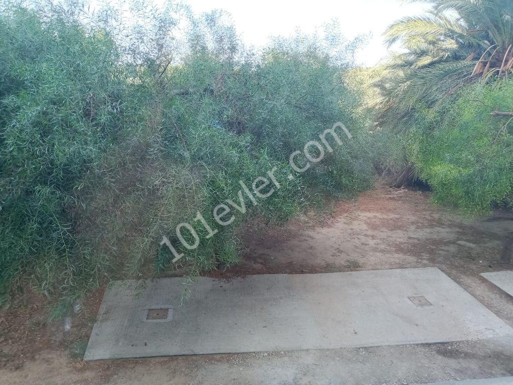 Flat For Sale in Gülseren, Famagusta