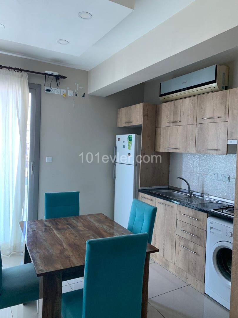 Sakarya falcon 1 apartman 2+1 rent house from 400$ Deposit 400$ And commission 