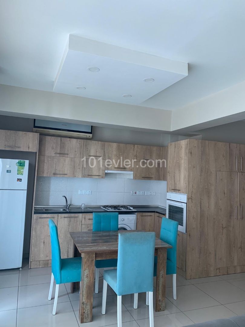 Sakarya falcon 1 apartman 2+1 rent house from 400$ Deposit 400$ And commission 