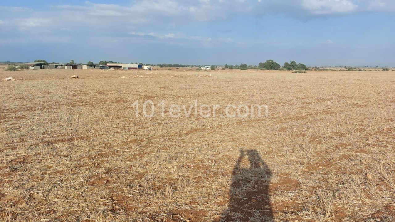 29 ACRES OF 1 HOUSE RED-EARTHED FIELD FOR SALE ** 