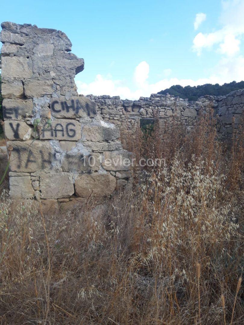 2 Hektar 1300 A2 Meerblick zum Verkauf in Dipkarpaz ** 