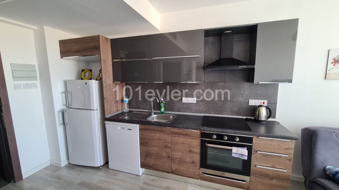 PREMIER 1+1 RENT HOUSE FROM 450$ MINIMUM 6 MONTHS PAYMENT DEPOSİT AND COMMİSSİON