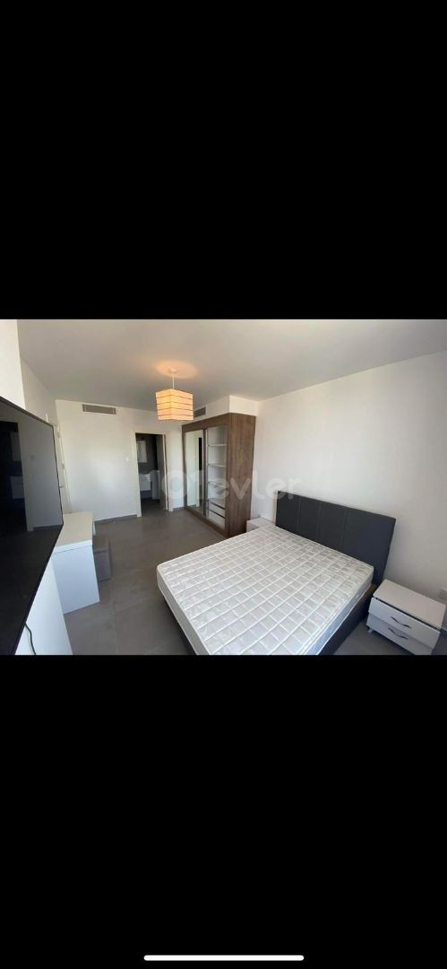 Premier 3+1 rent house 800 $6 months payment