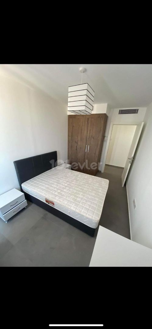 Premier 3+1 rent house 800 $6 months payment ** 