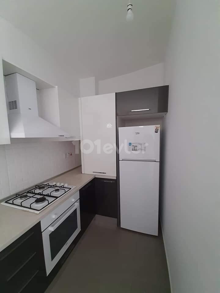 Caddem resıdence 1+1 rent house per month 250 £ 12 months payment 1 deposıt 1 commıssıon apartman charge 33 pound per month