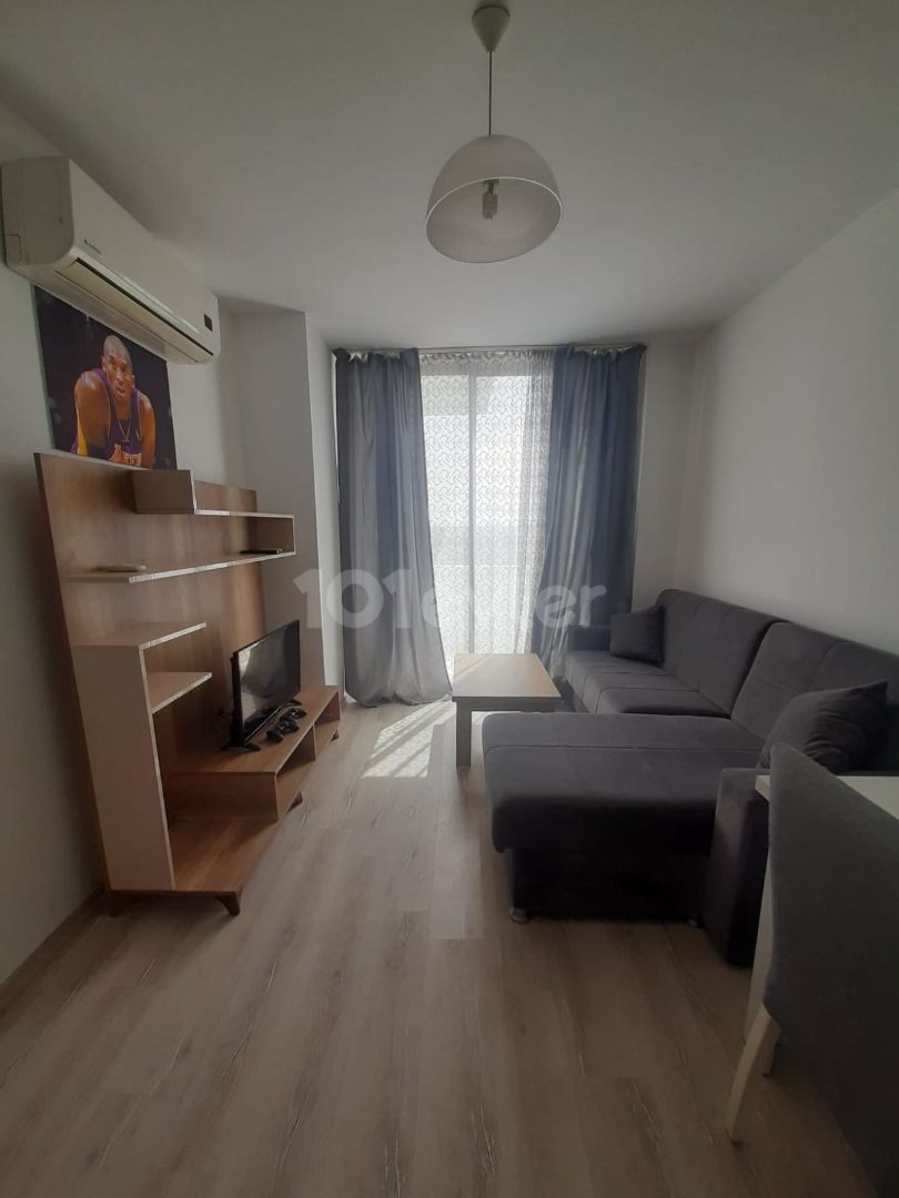 1+1 WOHNUNG ZU VERMIETEN IN SAKARYA IN DER NÄHE VON DAUYE MIT GEMEINSCHAFTSPOOL 420$ AB 12 MONATE KAUTION+PROVISION