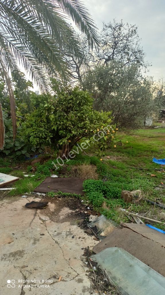 DETACHED VILLAGE HOUSE WITH GARDEN FOR SALE IN FAMAGUSTA MORMENEKSE VILLAGE ** 