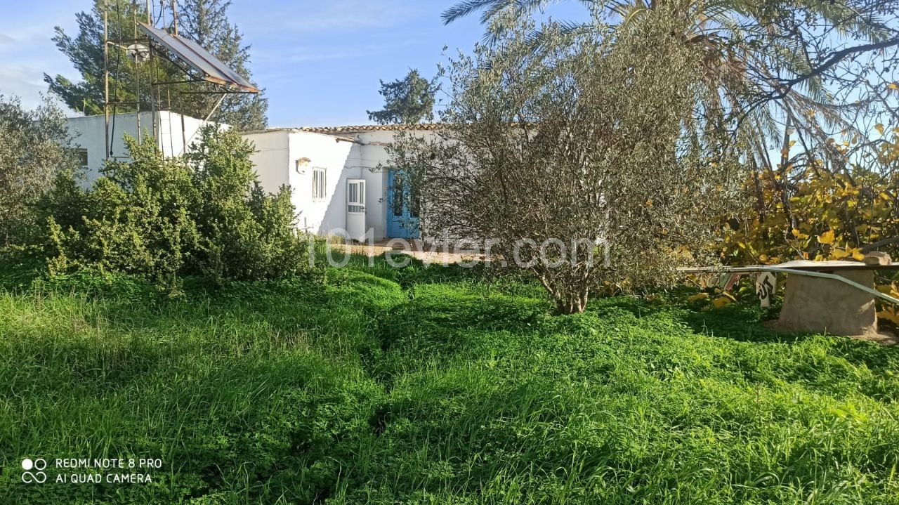 EINFAMILIENHAUS MIT GARTEN ZUM VERKAUF IN FAMAGUSTA MORMENEKSE DORF ** 