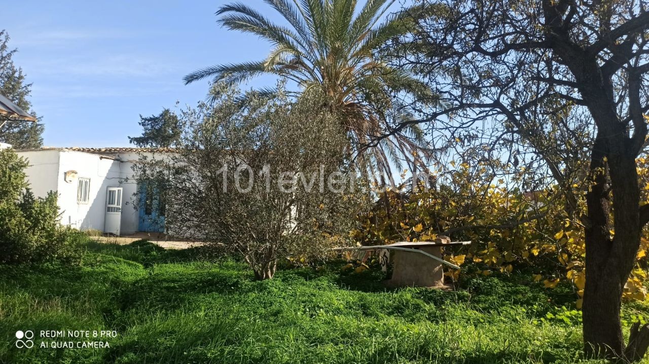 DETACHED VILLAGE HOUSE WITH GARDEN FOR SALE IN FAMAGUSTA MORMENEKSE VILLAGE ** 