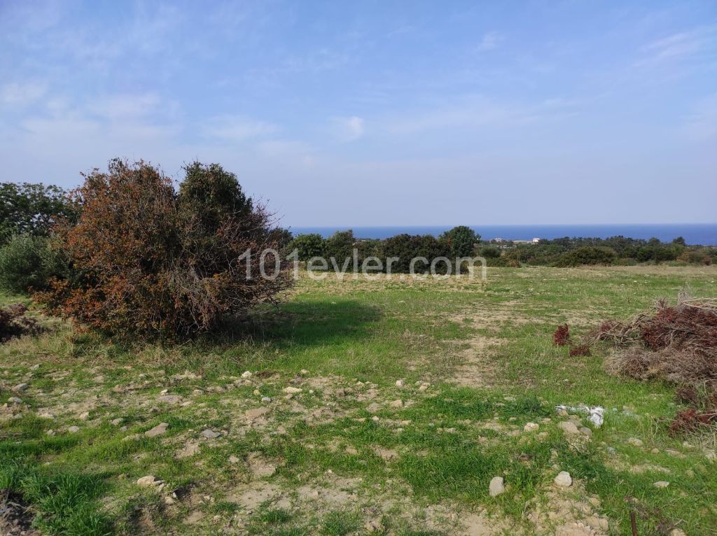 Residential Zoned Plot For Sale in Tatlısu, Famagusta