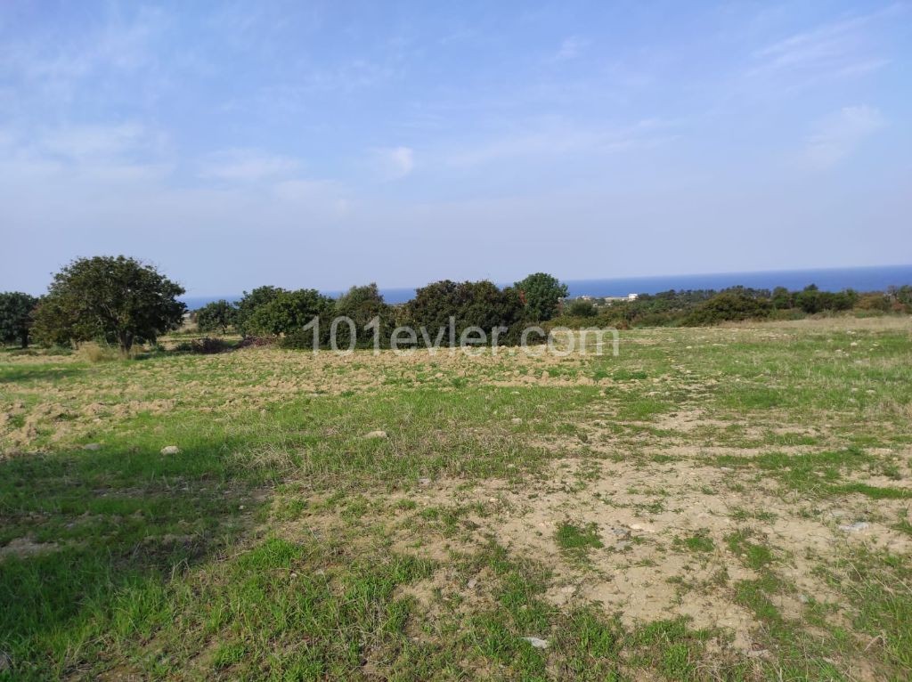 Residential Zoned Plot For Sale in Tatlısu, Famagusta