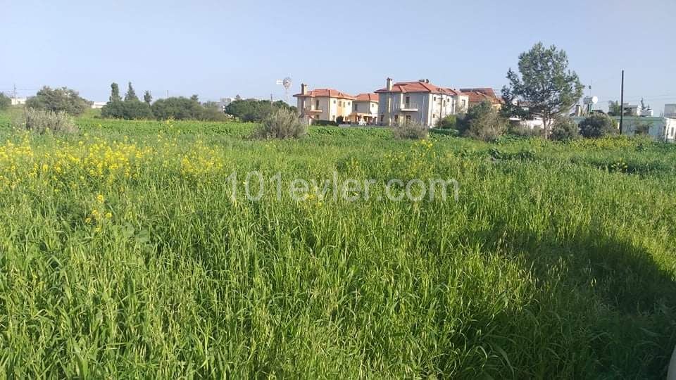 FAMAGUSTA MERKZDE DÖVE THE BACK AREA OF THE WEDDING HALL IS 6 ACRES OF 3EVLEK LAND SUITABLE FOR THE CONSTRUCTION OF A SITE OR APARTMENT ** 