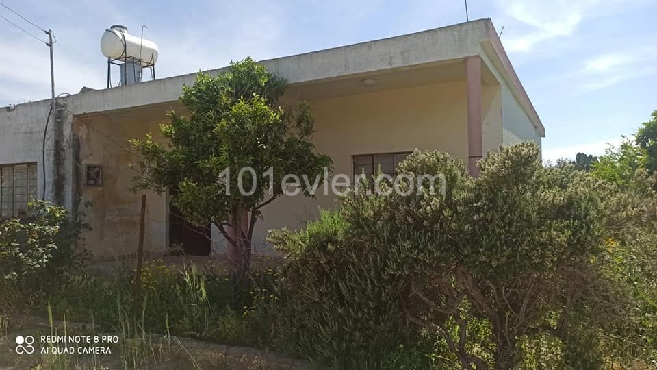 ISKELE DECONSTRUCTED HOUSE WITH A GARDEN OF FASIL96 ON A 900M2 PLOT IN THE VILLAGE OF ÇAYIROVA ** 