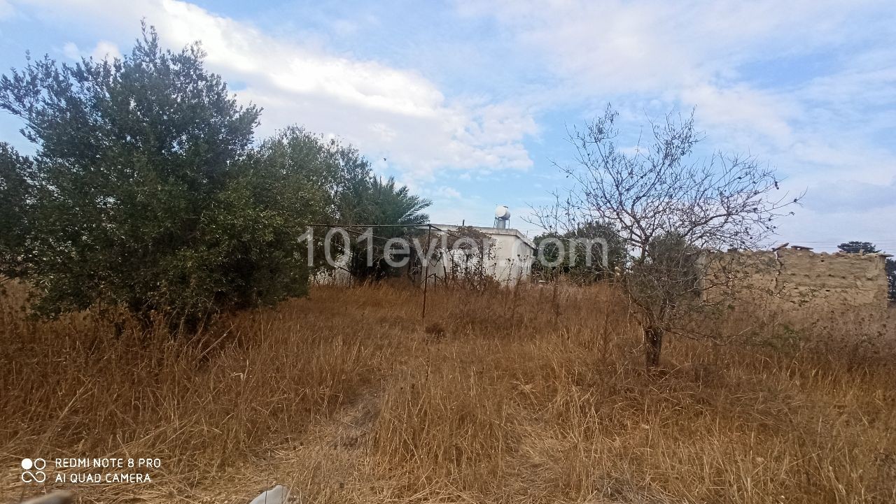 EINFAMILIENHAUS MIT GARTEN IN EINEM GRUNDSTÜCK VON 900M2 IM DORF ISKEL CHAYROVA FASIL96 ** 