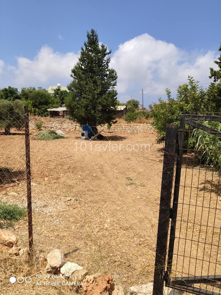 ISKELE YENIERENKOYDE 1 ACRE OF LAND OPEN FOR CONSTRUCTION ** 