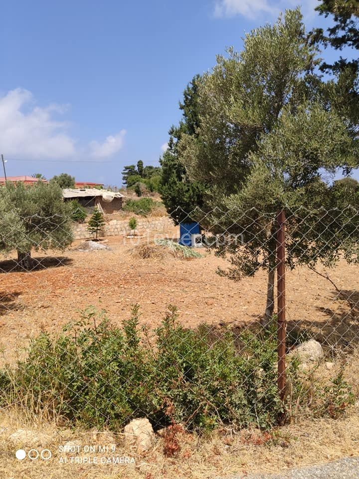 ISKELE YENIERENKOYDE 1 ACRE OF LAND OPEN FOR CONSTRUCTION ** 