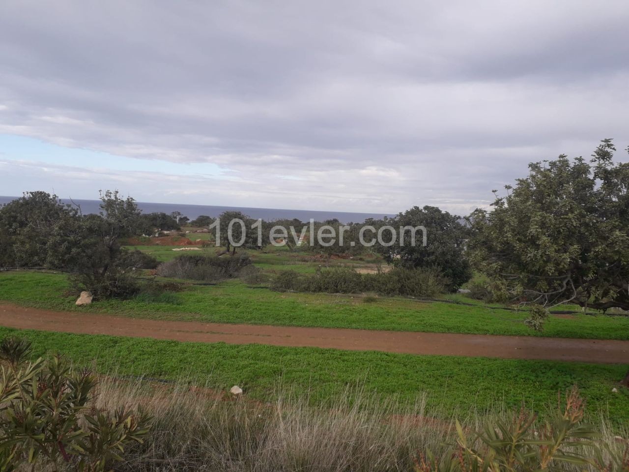 Field For Sale in Tatlısu, Famagusta