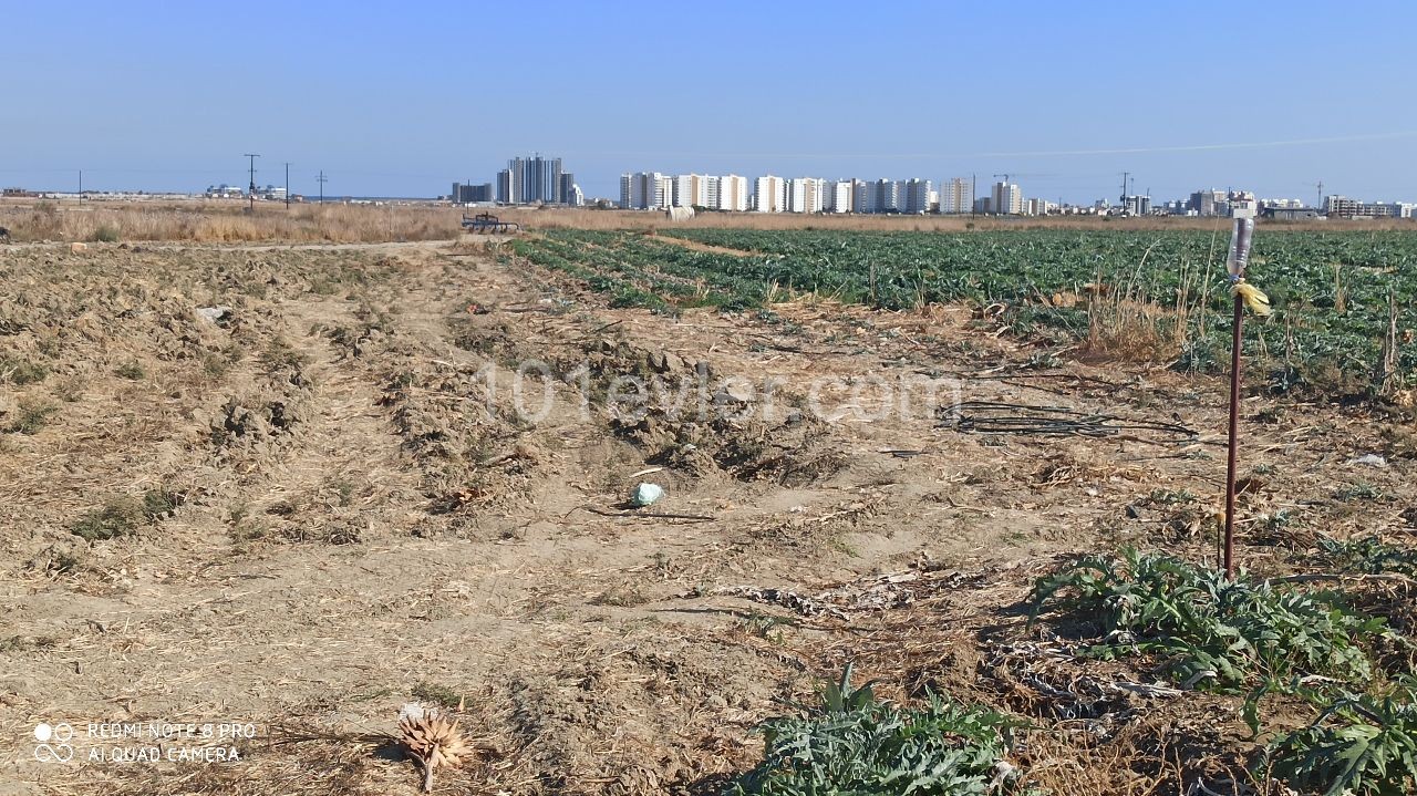 INVESTMENT LAND CLOSE TO İSKELE ENTRY CEASER SITE ** 