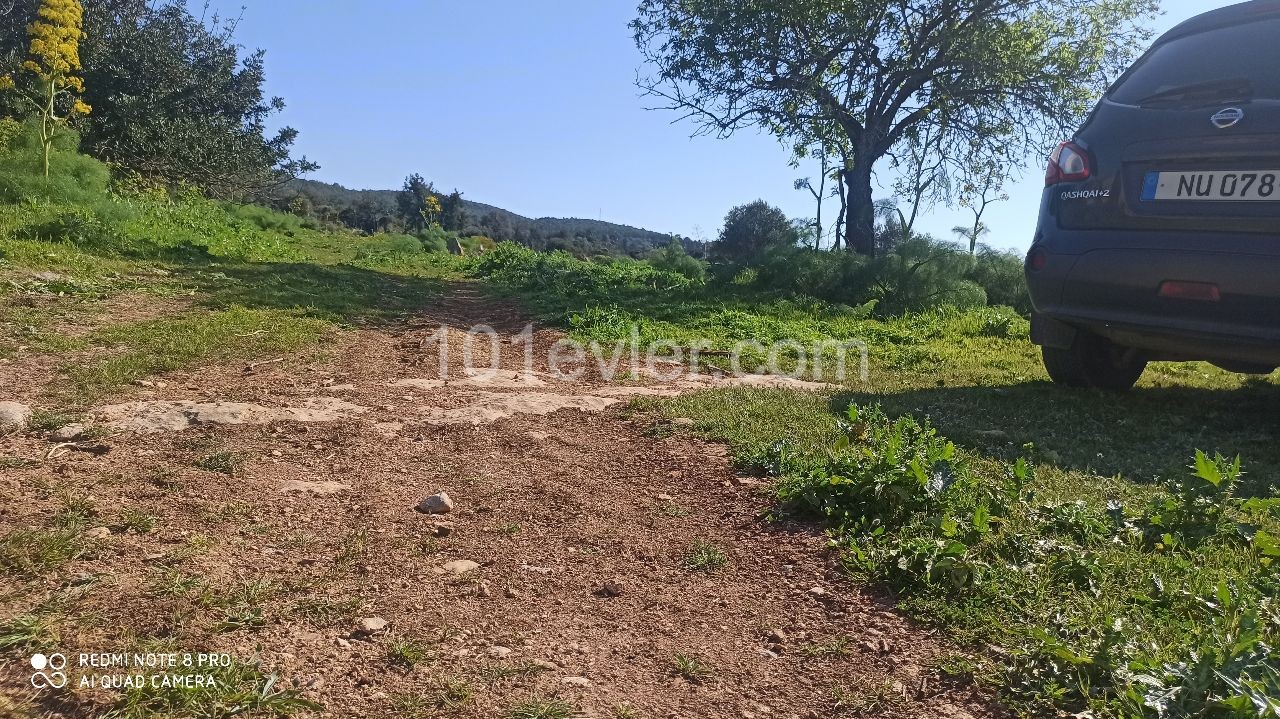 THE PRICE IS DROPPED!! LAND WITH A PERFECT SEA VIEW IN ISKELE SİPAHİ VILLAGE, 1521m2 PLAN LAND ** 