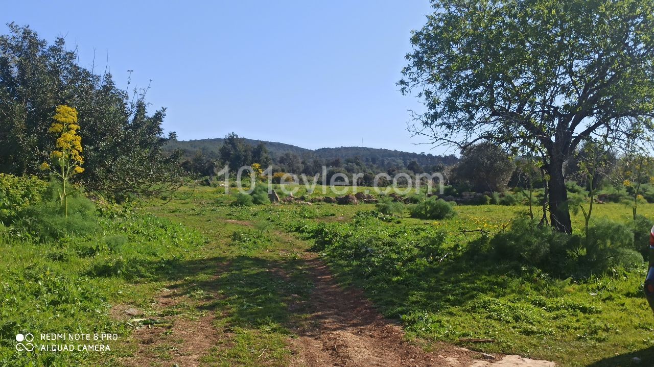 THE PRICE IS DROPPED!! LAND WITH A PERFECT SEA VIEW IN ISKELE SİPAHİ VILLAGE, 1521m2 PLAN LAND ** 