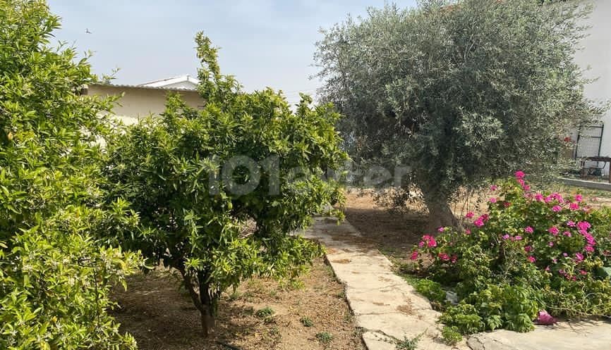 A DETACHED HOUSE WITH A TURKISH HUSBAND'S WATER WELL IN THE VILLAGE OF SERDARLI ** 