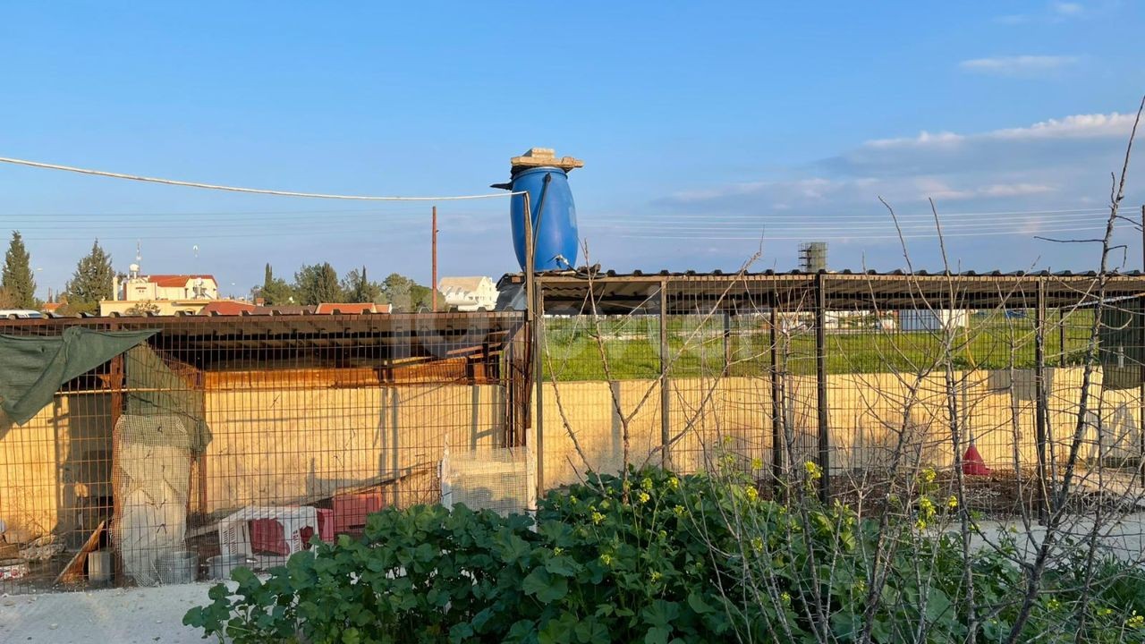 EINFAMILIENHAUS MIT GARTEN IN 1 HEKTAR LAND IM DORF FAMAGUSTA MUTLUAKA ** 