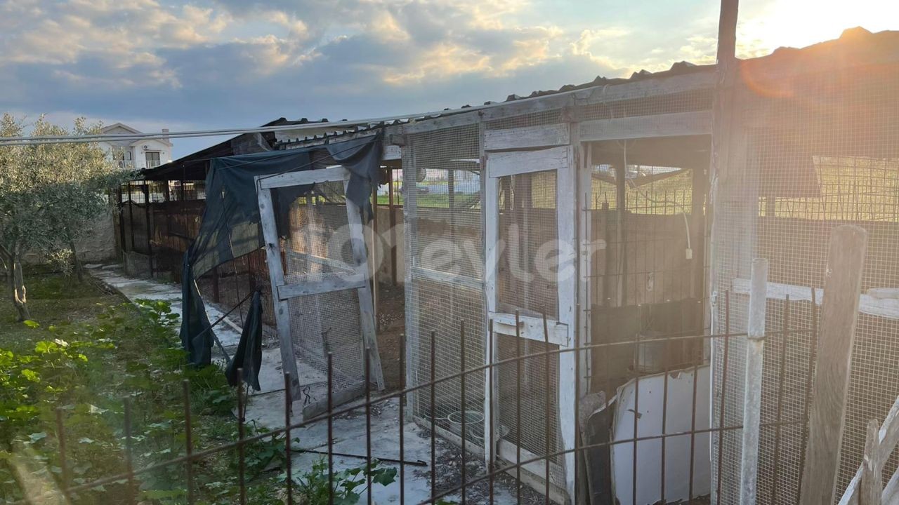 EINFAMILIENHAUS MIT GARTEN IN 1 HEKTAR LAND IM DORF FAMAGUSTA MUTLUAKA ** 