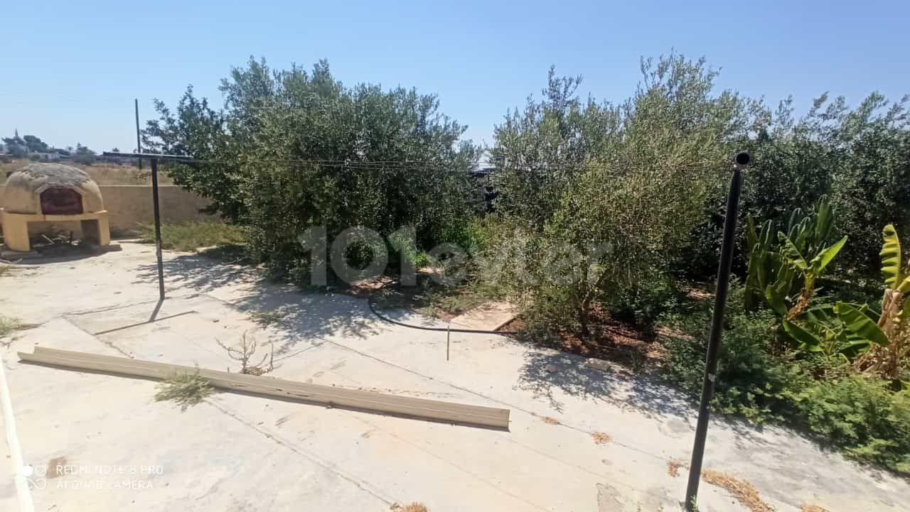 EINFAMILIENHAUS MIT GARTEN IN 1 HEKTAR LAND IM DORF FAMAGUSTA MUTLUAKA ** 