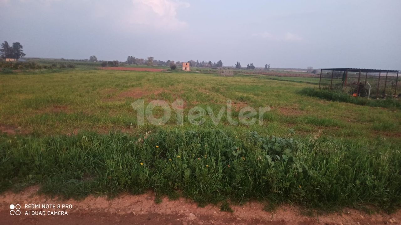 YILDIRIM VILLAGE GARDENS REGION RED SOIL WATER WELL LAND