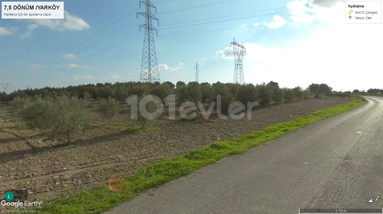 ISKELE BOĞAZTEPE YARKOY STRASSE AUF 7. 5 HEKTAR OLIVENGARTEN MIT MEERBLICK