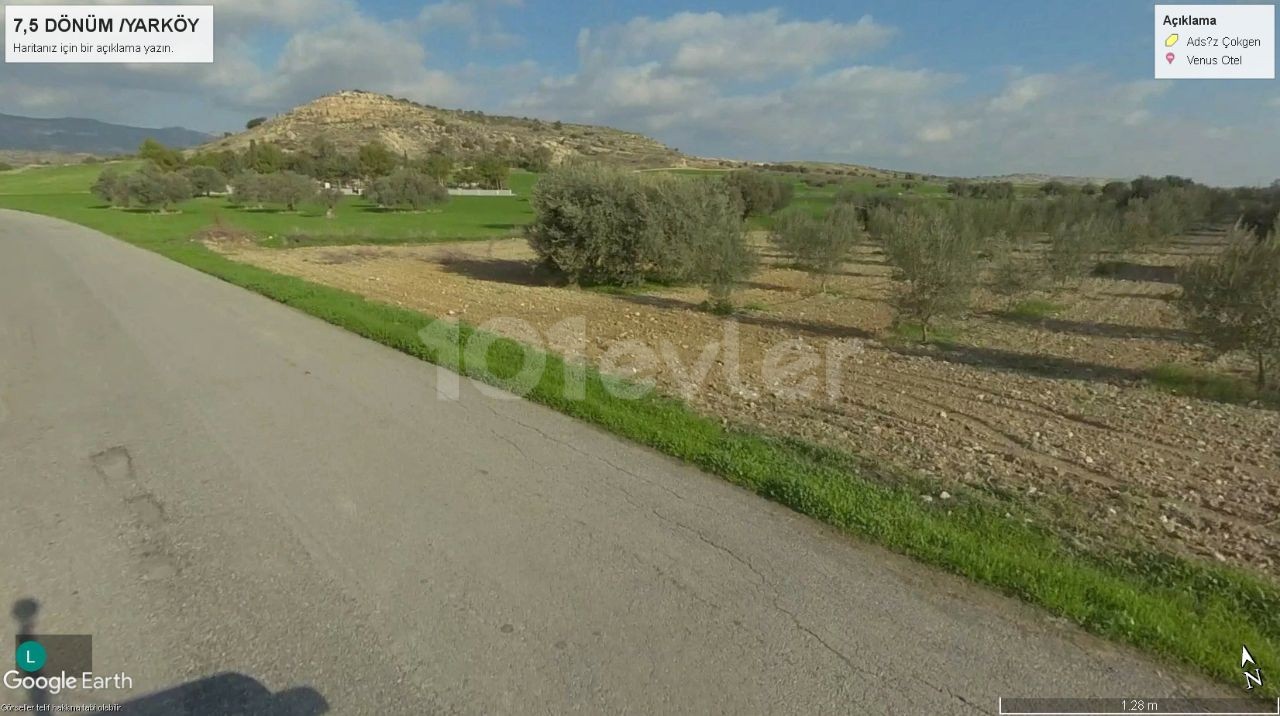 ISKELE BOĞAZTEPE YARKOY STRASSE AUF 7. 5 HEKTAR OLIVENGARTEN MIT MEERBLICK