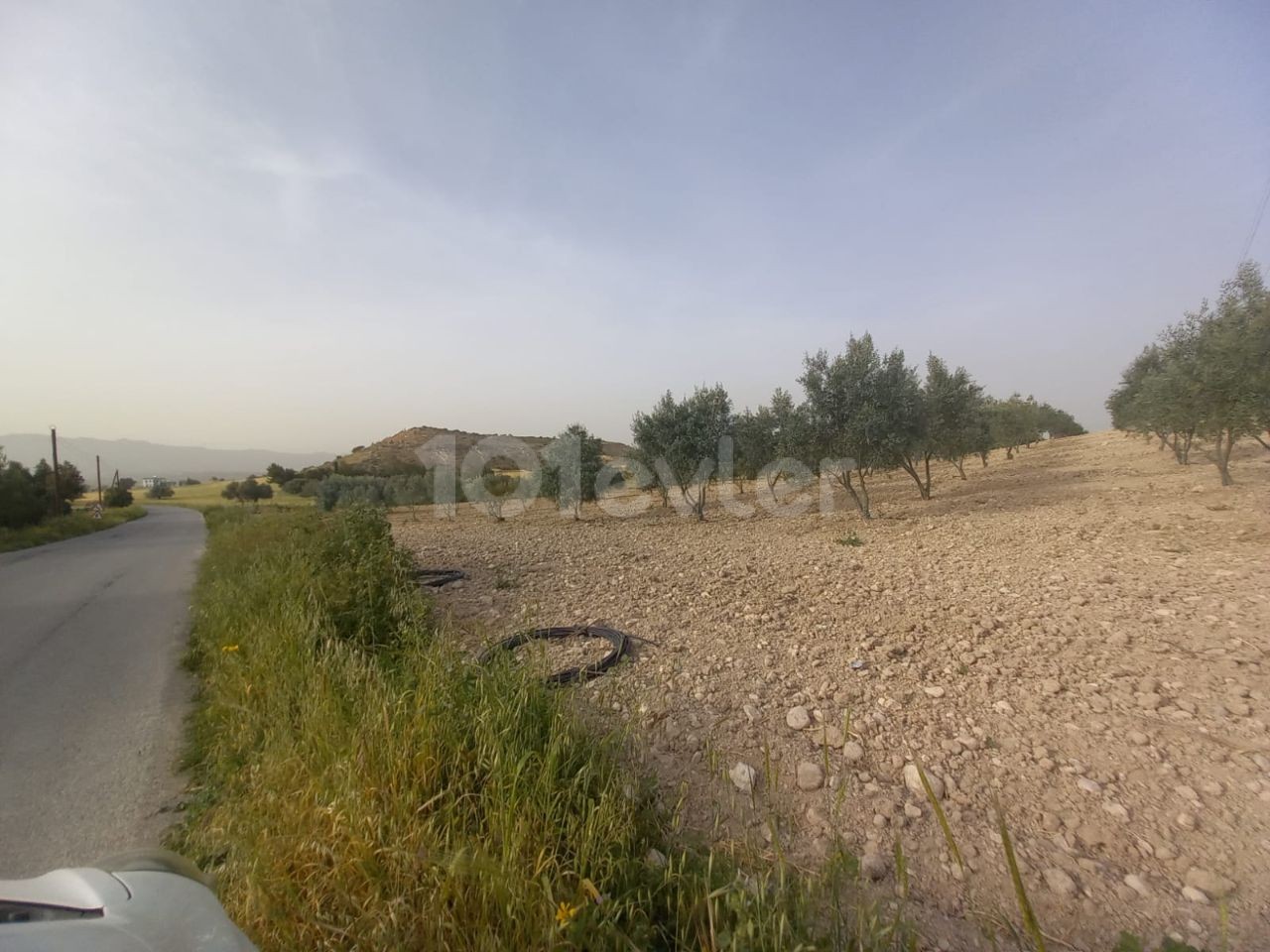 ISKELE BOĞAZTEPE YARKOY STRASSE AUF 7. 5 HEKTAR OLIVENGARTEN MIT MEERBLICK