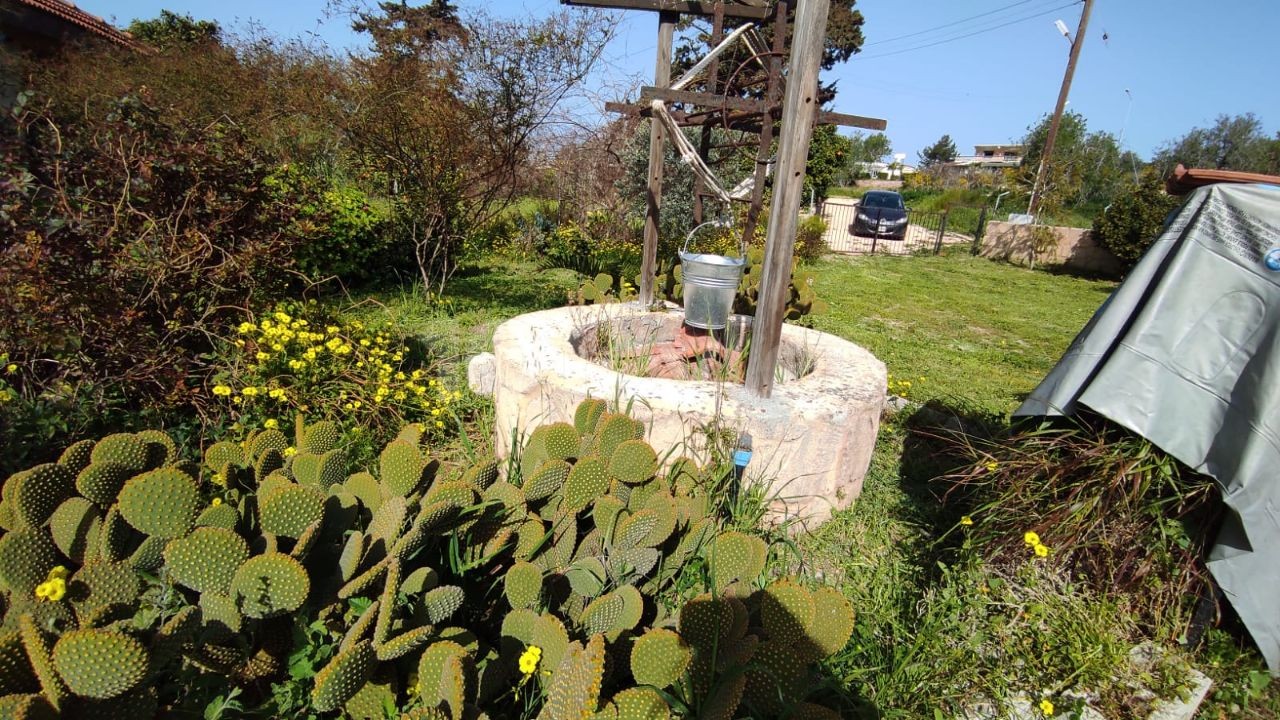 ساختمان جدید خانه سنگی در 1 هکتار زمین در روستای DIPKARPAZ 