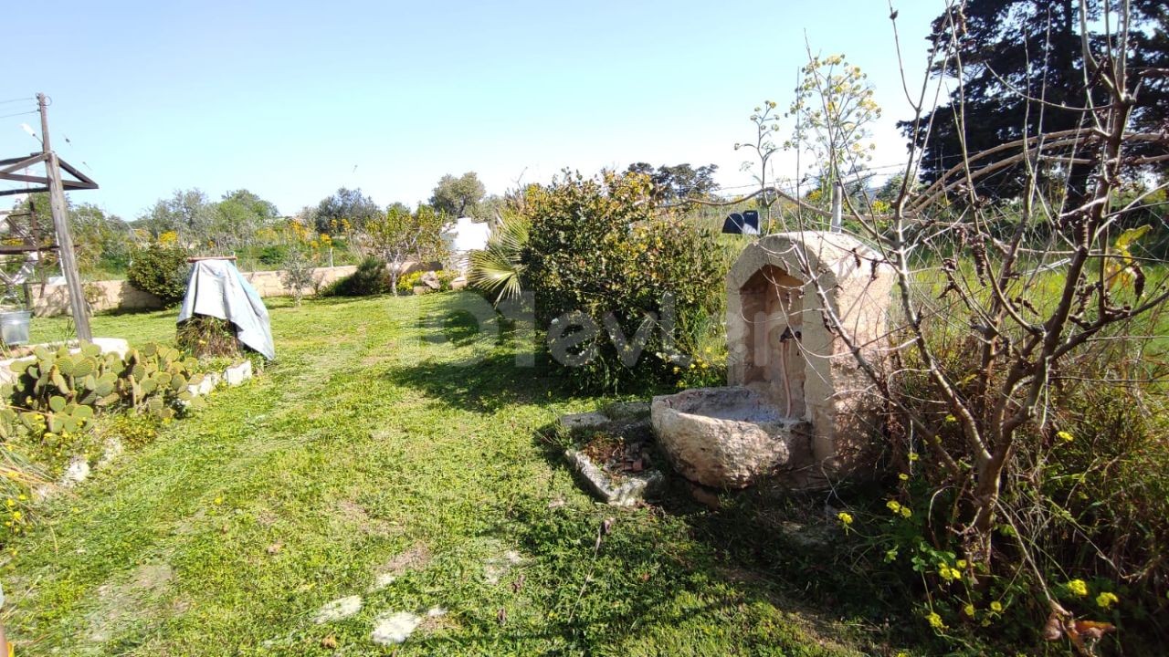 ساختمان جدید خانه سنگی در 1 هکتار زمین در روستای DIPKARPAZ 